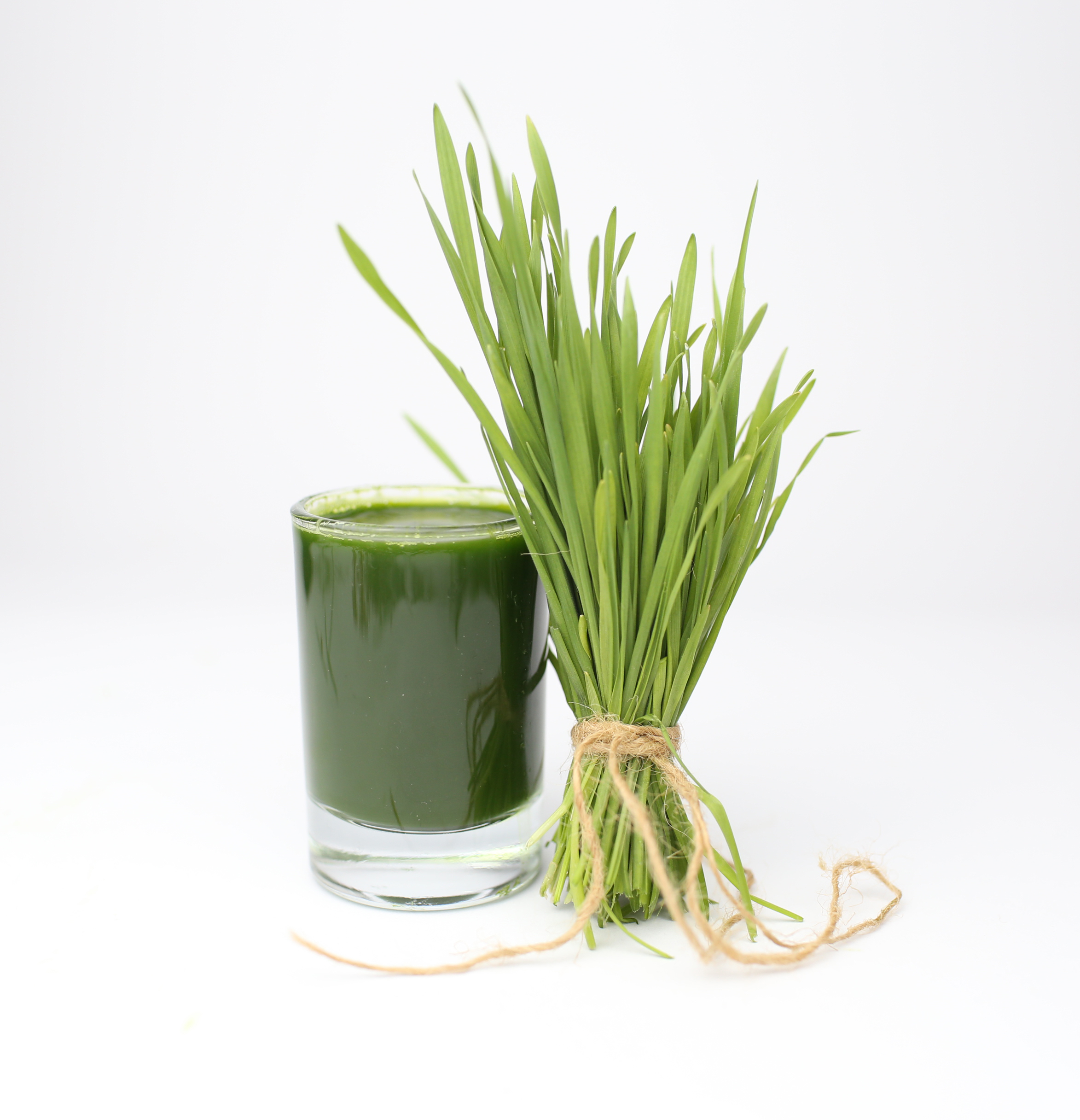 sok z mikrolistków przenicy