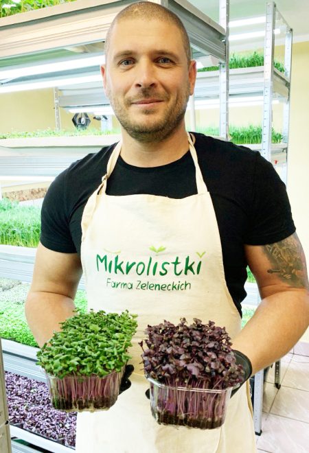 Uprawa i zbiory mikrolistków – Farma Zeleneckich